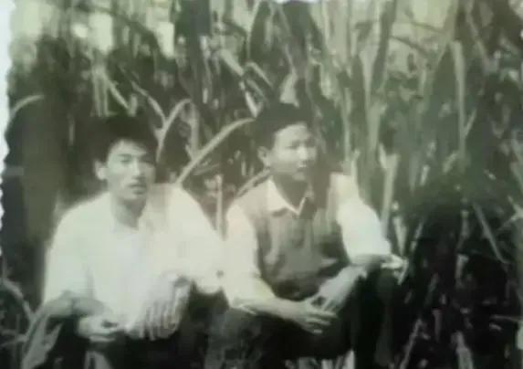 1978年，上海一男知青为了回城，抛弃了农村妻子。分别时，妻子哀求地说：“带着我