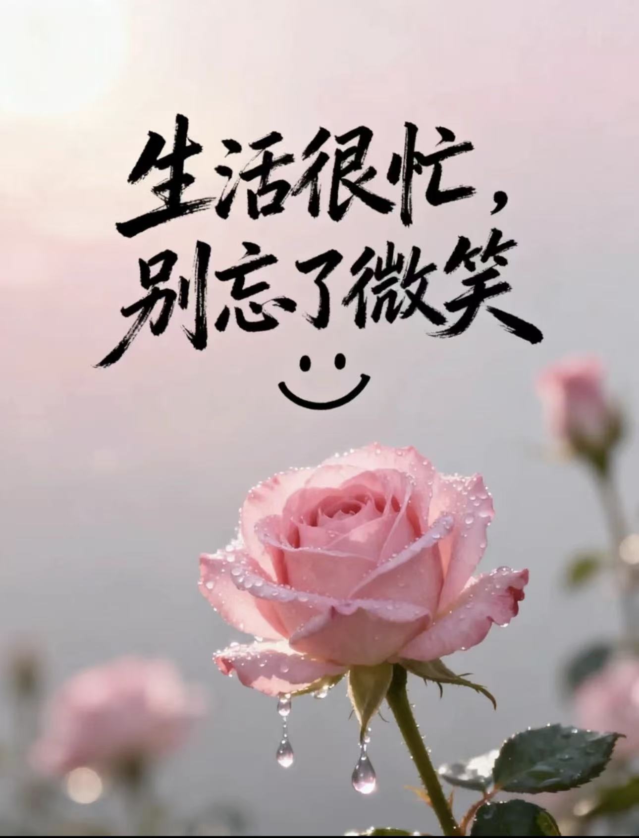 晨光温柔，日子清甜。今天不赶时间，只带好心情出发。 