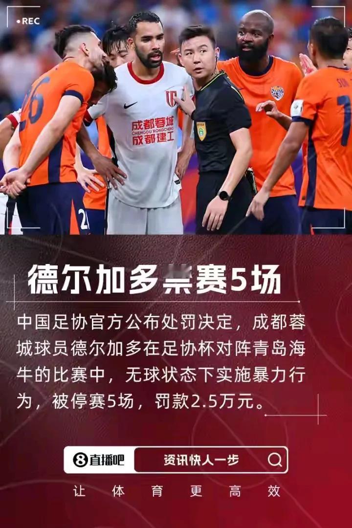 大罚单来了！德尔加多在己队进攻、本人无球状态下肘击海牛队员孙正傲，被停赛足协杯5
