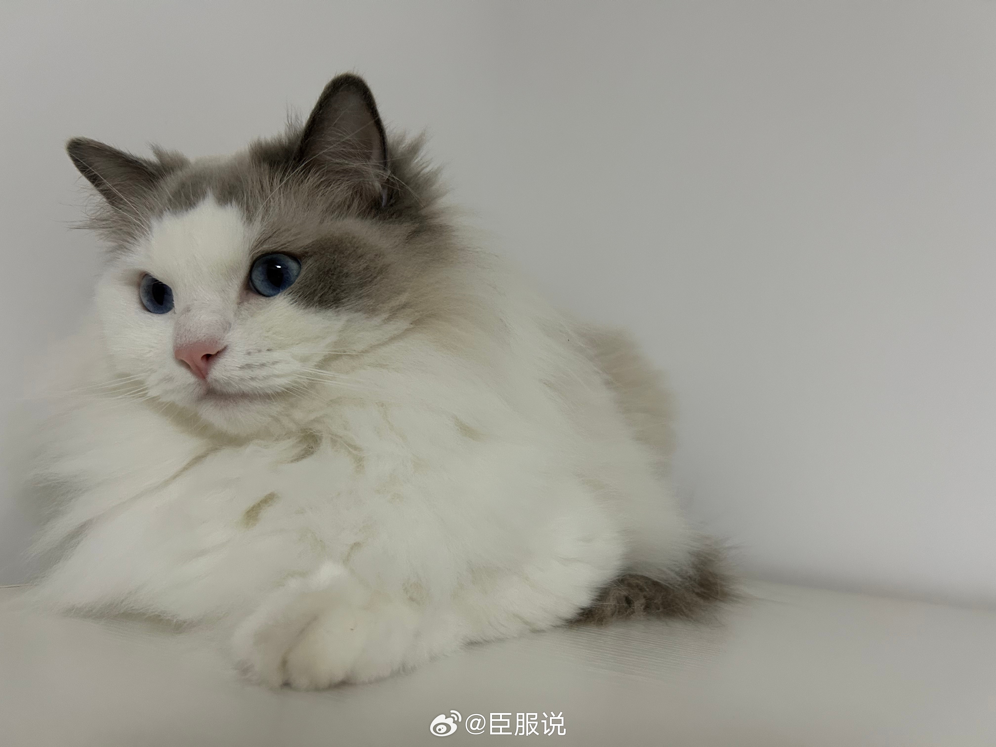 A股下午马上开盘开始下午的行情分析交流、臣服说为您生活更美好，让投资更简单、透明