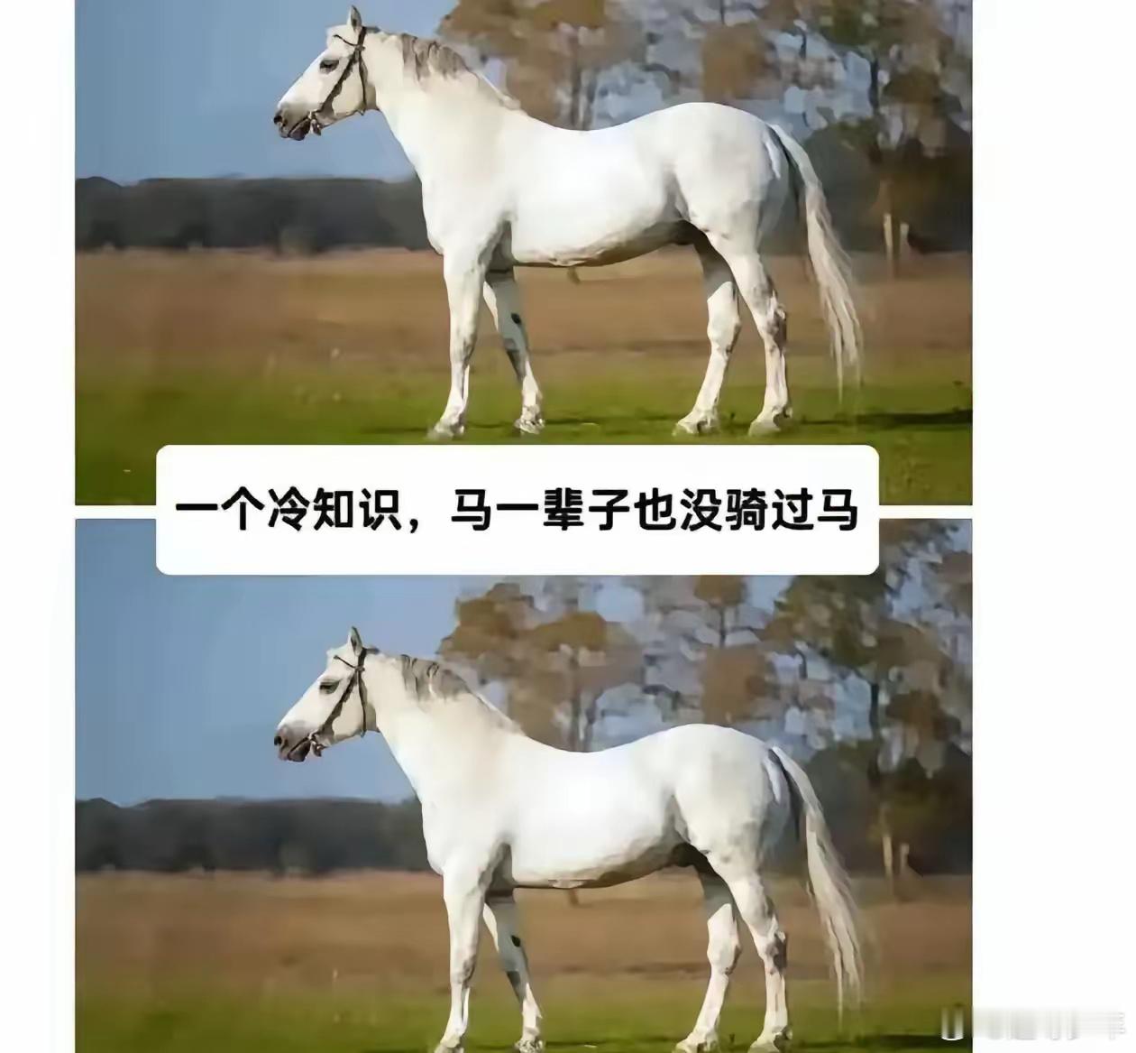 没用的知识又增加了！ 
