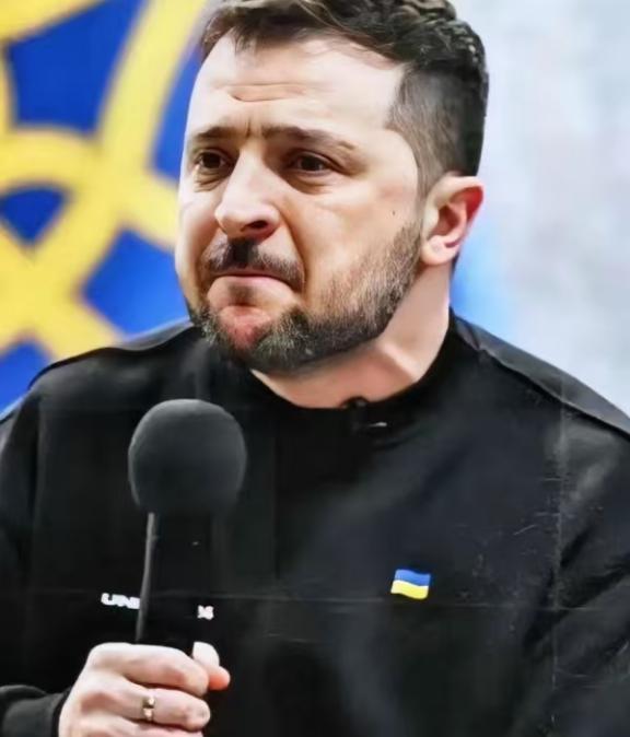 乌克兰议会，又投票了。330票赞成。几乎全票。

2026年1月14日，乌克兰最