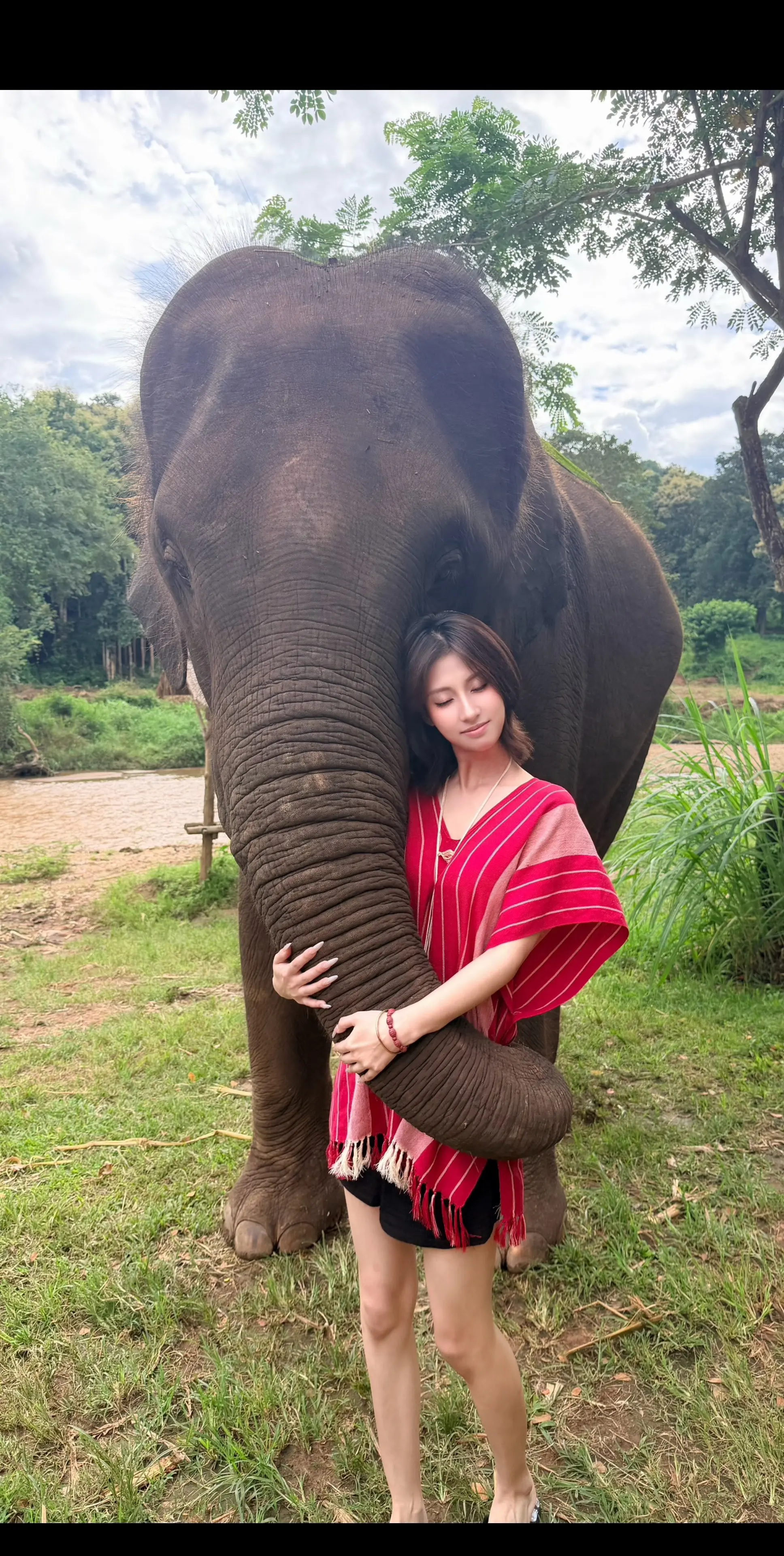 🐘。