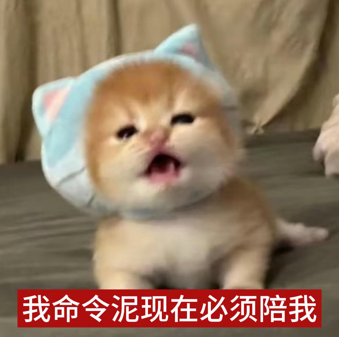 喂喂喂，都在干嘛呢！ 