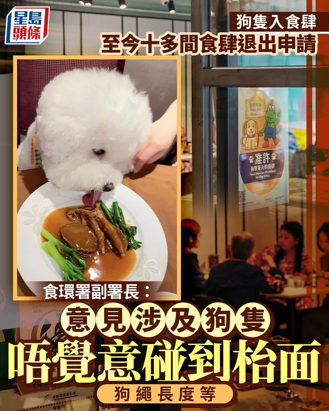 拒絕光顧這種餐廳的諸葛臥龍反忽小隊