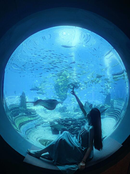 🩵三亚亚特兰蒂斯｜海底世界🐠🪼🦑