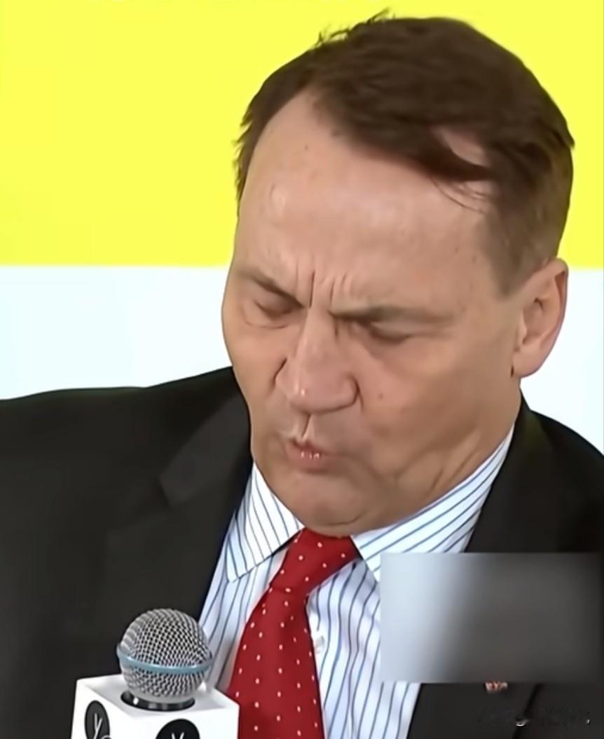 波兰外交部长西科尔斯基:“我认为这一场战争其实正符合中国的意图。中国几乎是以极低