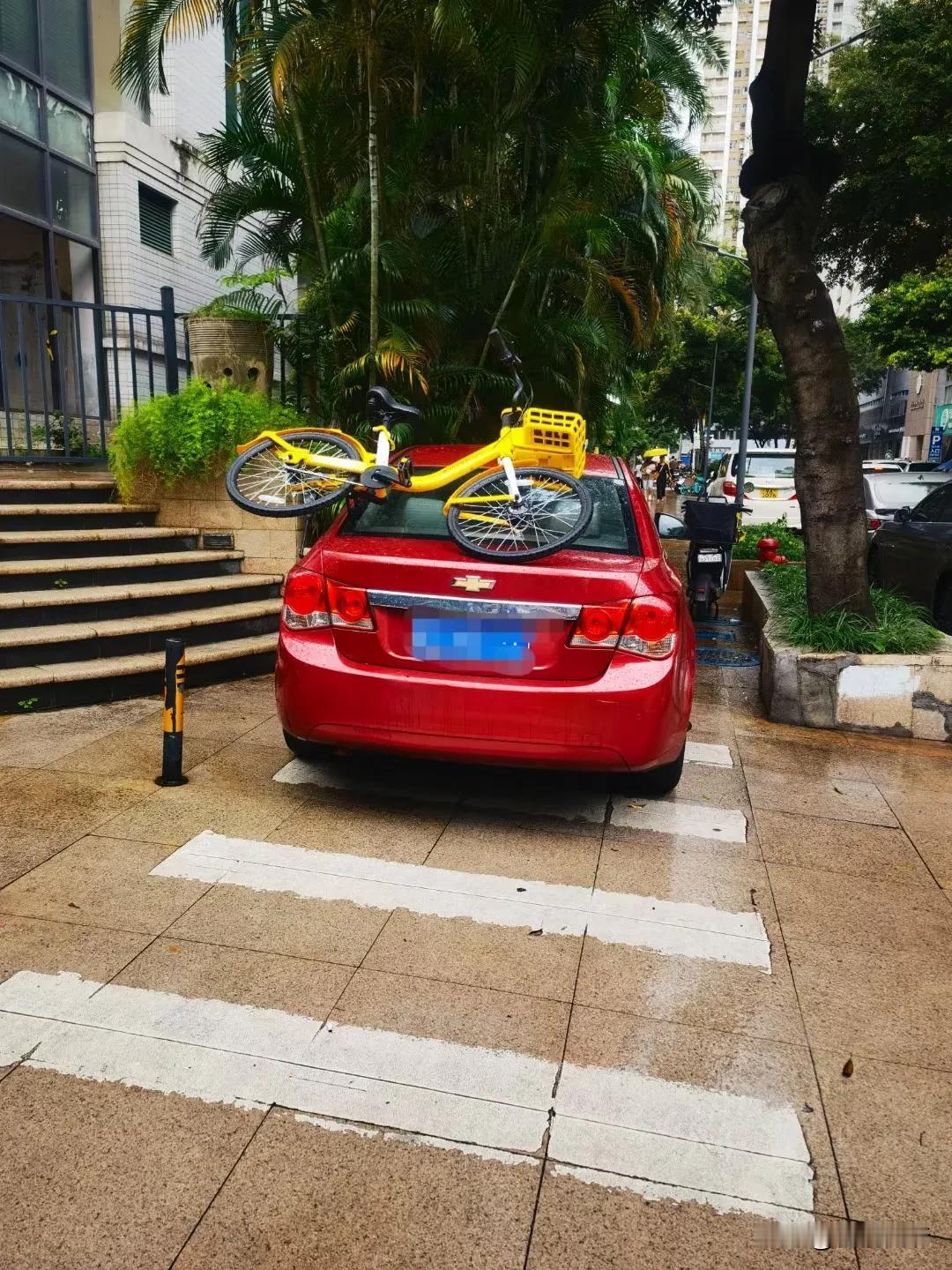 请问这是怎么做到的？深圳人都是这么赶时间吗，直接从台阶上飞下来？