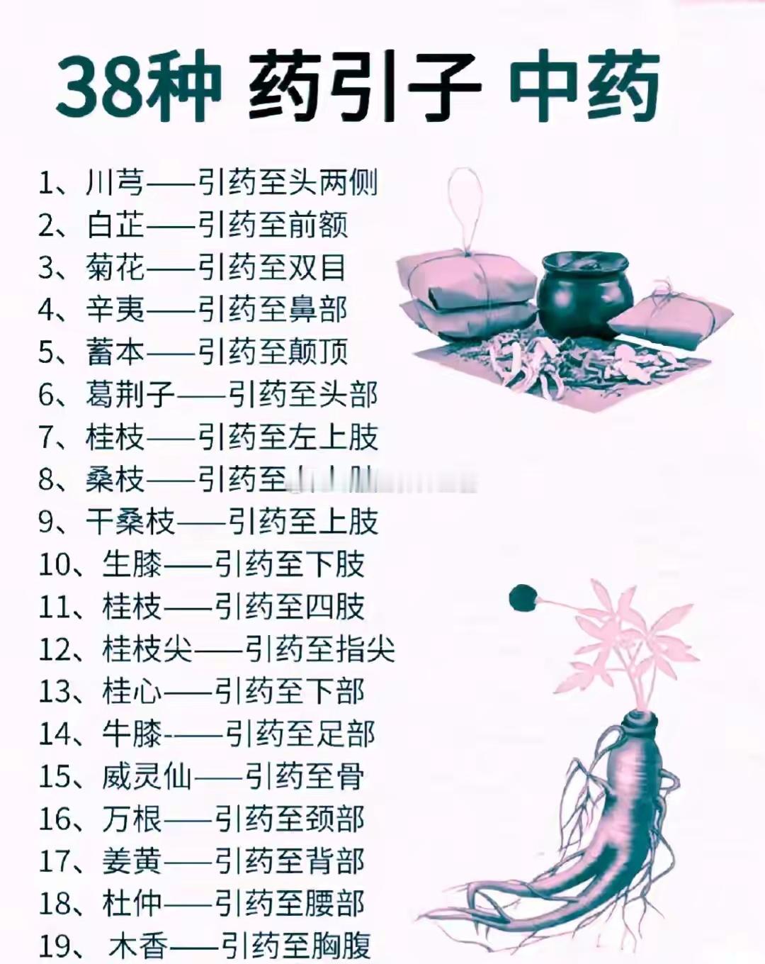 常见药引子中药，指哪打哪！建议收藏转发！#流感高发谨防心脏受伤##专家称龙年或出