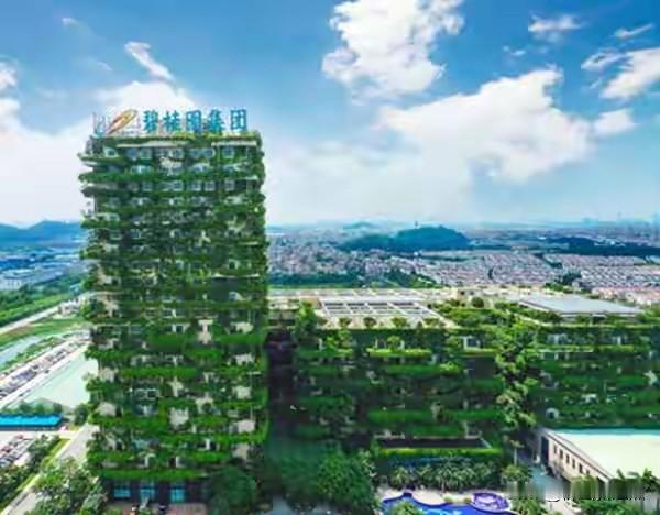碧桂园这波操作真的亏大了！2024年底，碧桂园以20亿清仓长鑫科技1.56%股权