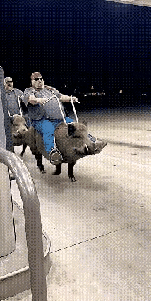 最省油的哈雷问世了～[偷笑]