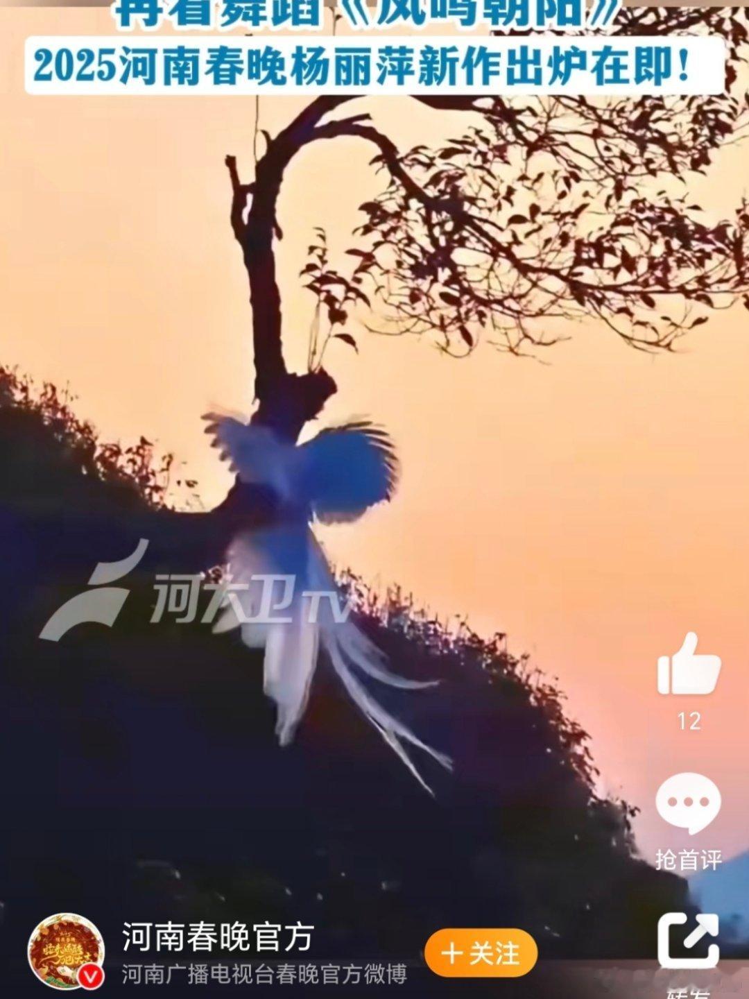 杨丽萍蛇年必看舞蹈  河南春晚也太牛啦！杨丽萍生肖舞蹈系列艺术片发布，好古典好有