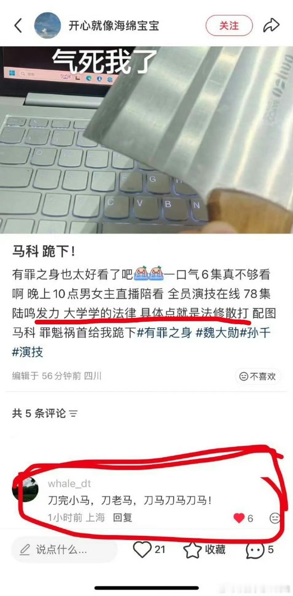 魏大勋魏大勋演陆鸣时学过法修散打陆鸣学过法修散打 哈哈哈哈哈哈原来陆鸣进修过法修