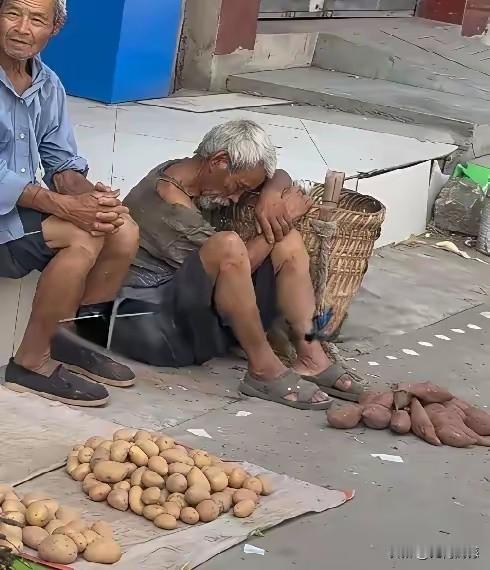 这张照片拍摄的真好，如果要是评奖的话，是很容易获得好的名次的，因为它用无声的语言