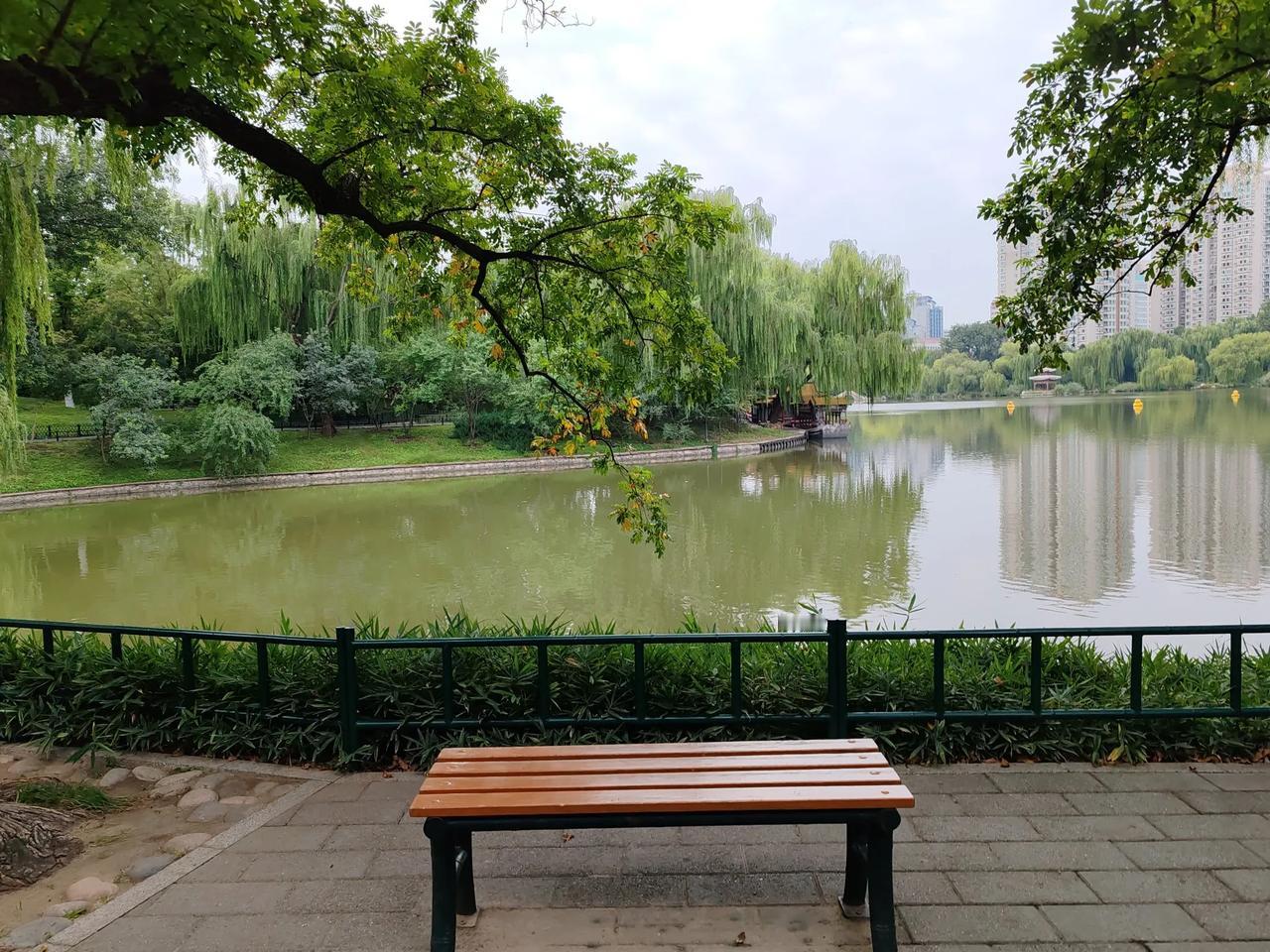 前两年在这个公园经常遇到一位老人，患过一次大病，在家人陪护下努力恢复一些功能，我