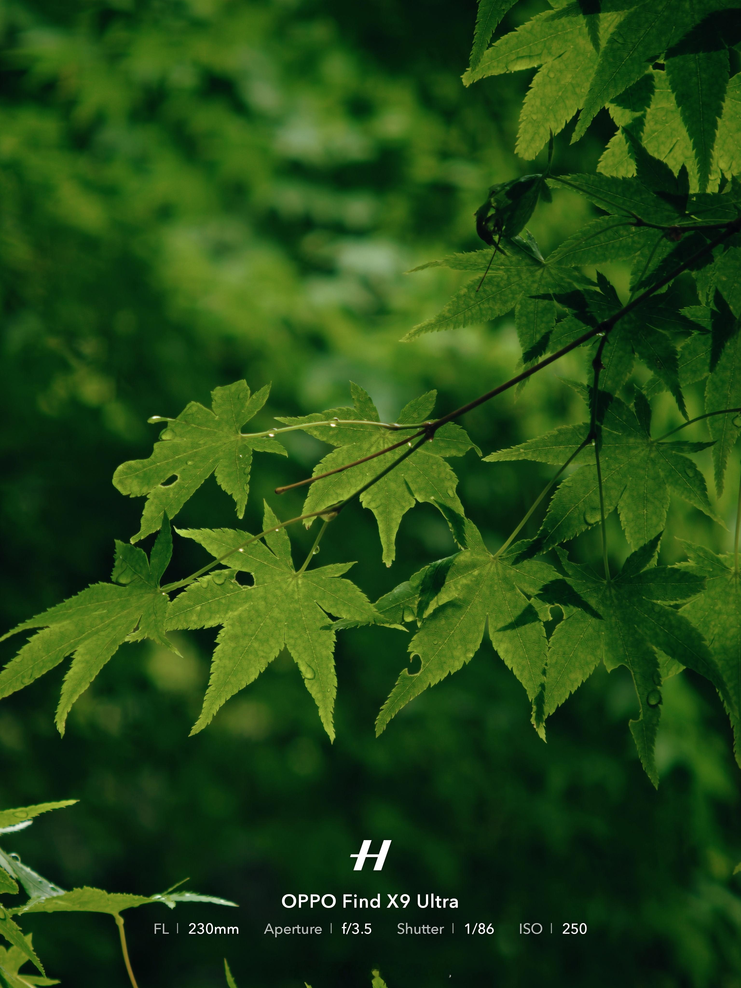 一些夏天的照片。 