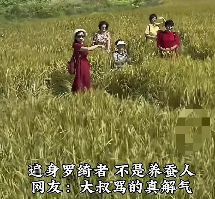 一句“滚蛋”！骂的真让人解气。近日，五个城里的退休大妈在家里憋着难受，跑到乡下的