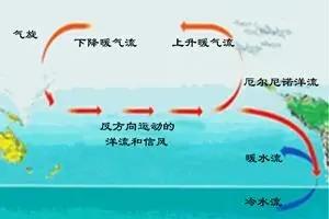 今年会太热的天气，看来是躲不过去了。

联合国最新预警：2026年6至8月出现极