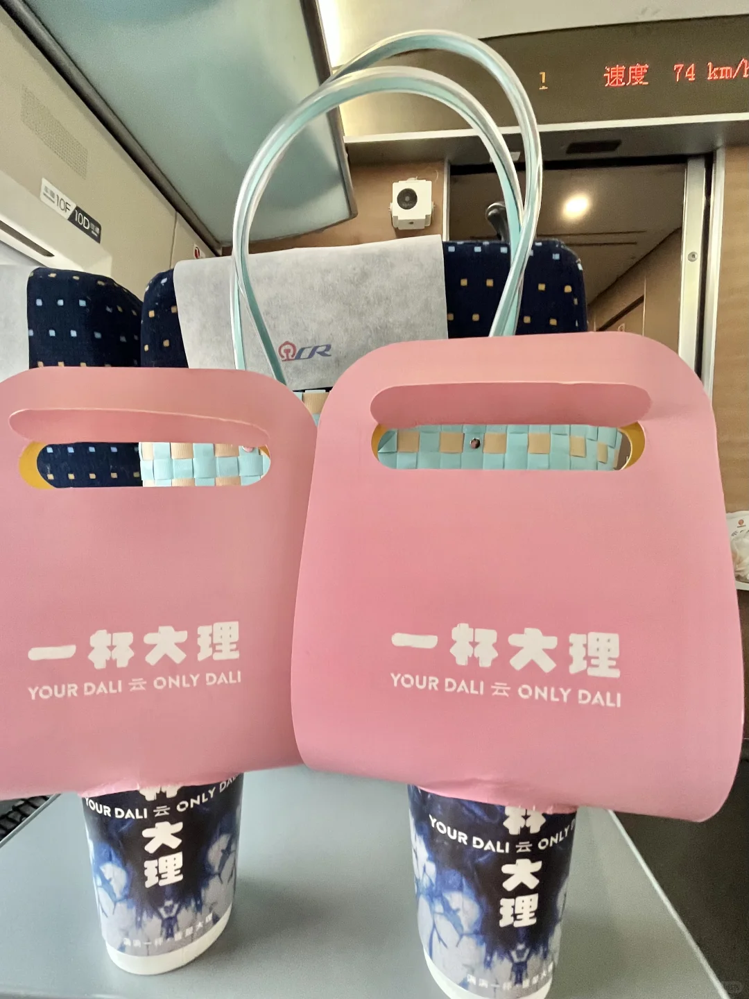 离开大理！我唯一挂念的！带上高铁了！