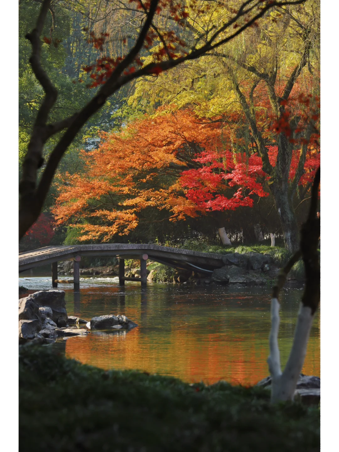 🍁杭州旅游｜很可惜90%的人没去对地方…