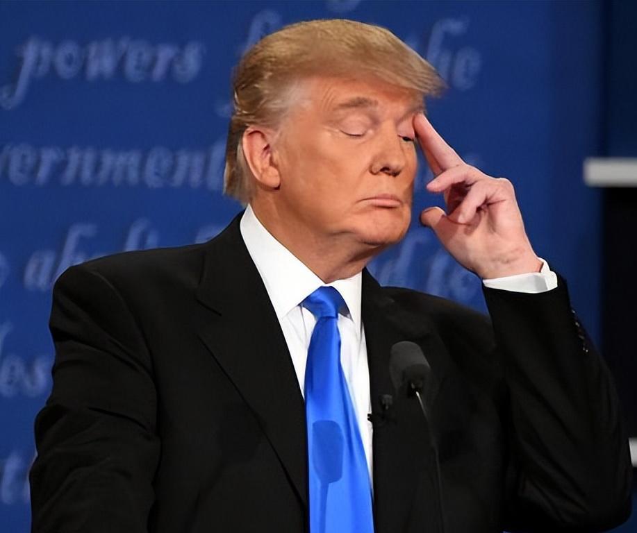请注意，美国总统特朗普来北京是硬要访华，不是应邀访华，语音相同，字面意思截然不同