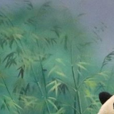 熊猫守护者 yy每日一善 援手他人或温馨问候, 每日善行汇大爱。点滴善意, 成就