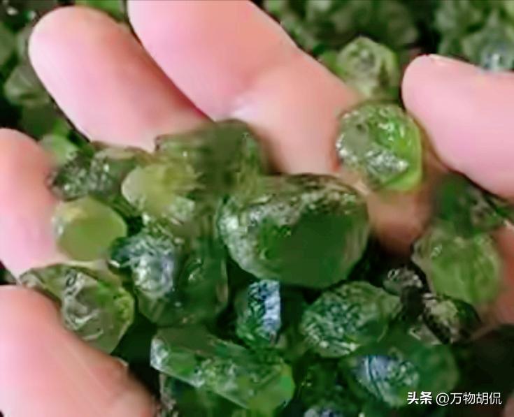 “你说上交就上交？”2002年天津一男子，辞掉工作后花费10年时间，在山上捡了6
