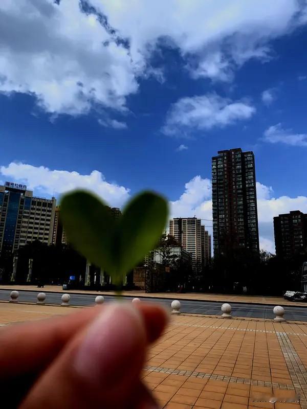 老同事聚会发现：过得好的都有这个共同点

时隔多年的老同事聚会，满桌寒暄里藏着岁