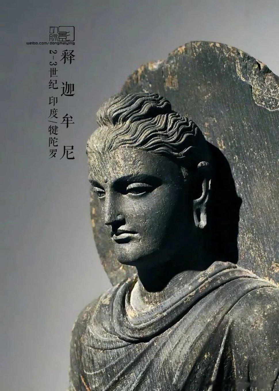 北斗七星 是的。确实有许多人，爱动物超过爱人。我以前也说过，孟子说“仁者爱人”，