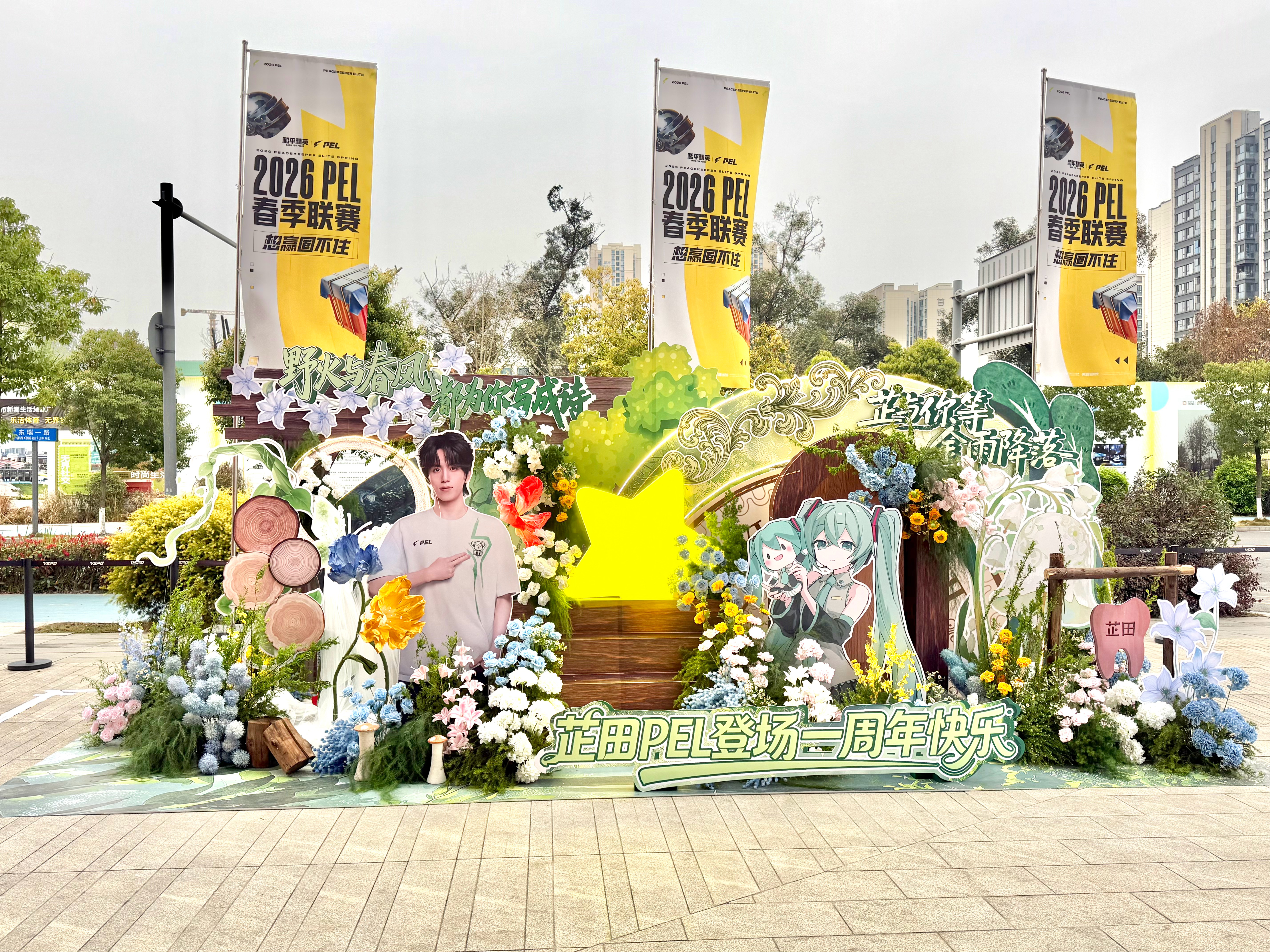 PEL春季赛第四周突围赛 好漂亮的花墙呀2026pel春季赛pel