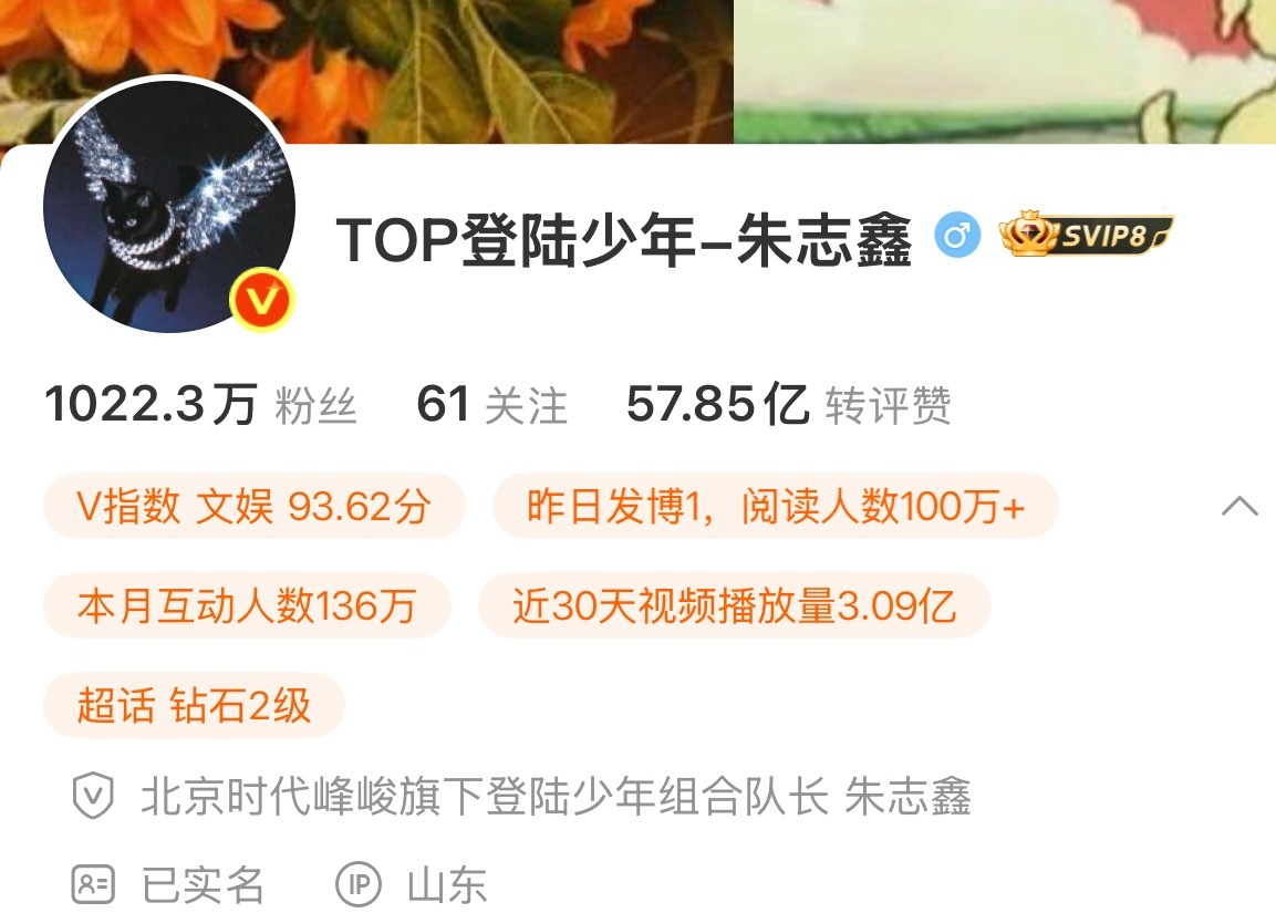 最后记录一下和小猪猪的同款ip