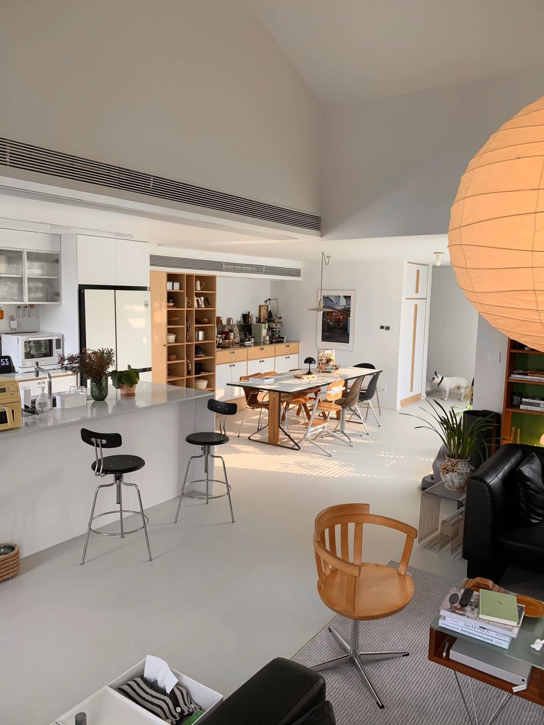 有光的时刻，心情都好了