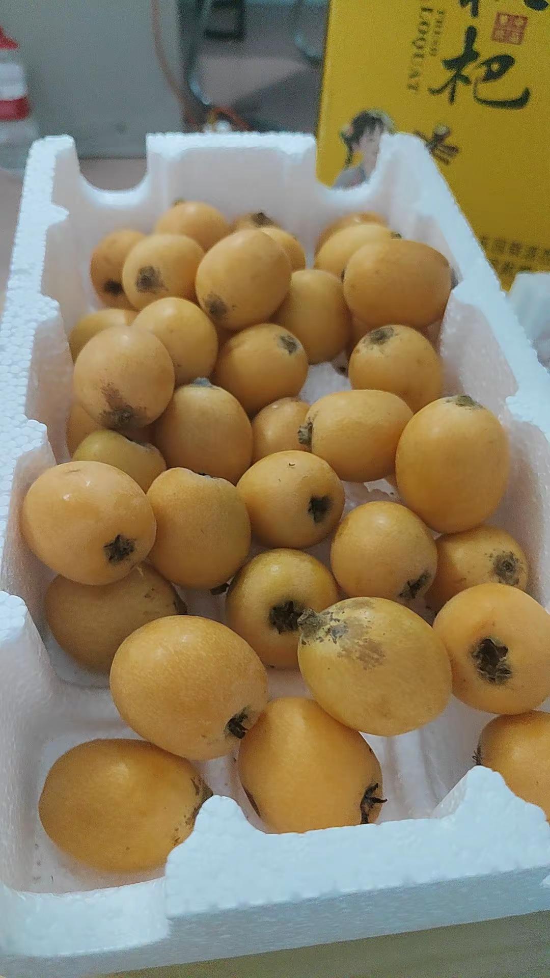 上买的枇杷有人说是蛋黄果😂。枇杷熟了 蛋黄果 真实拍摄 真实分享
