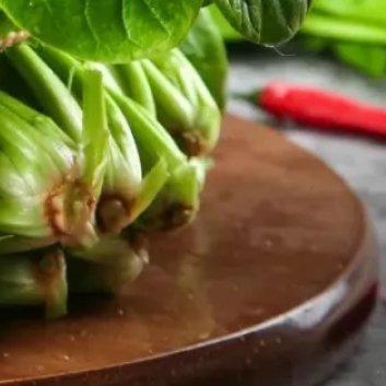 种植 🥬菠菜种植最简单方法如下：1. 种植时间：菠菜一年四季都可以种植，春秋季