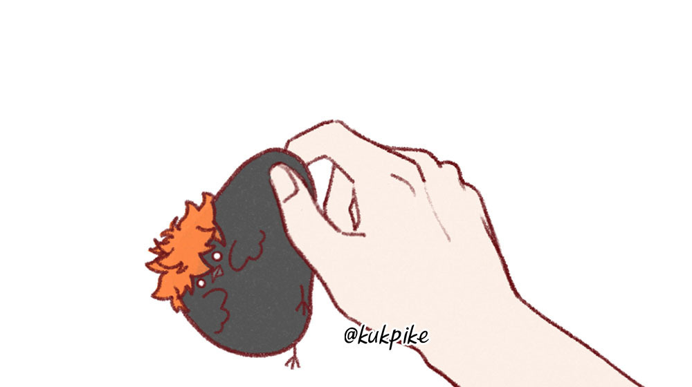 排球少年乌野的小乌鸦！  x：kukpike 