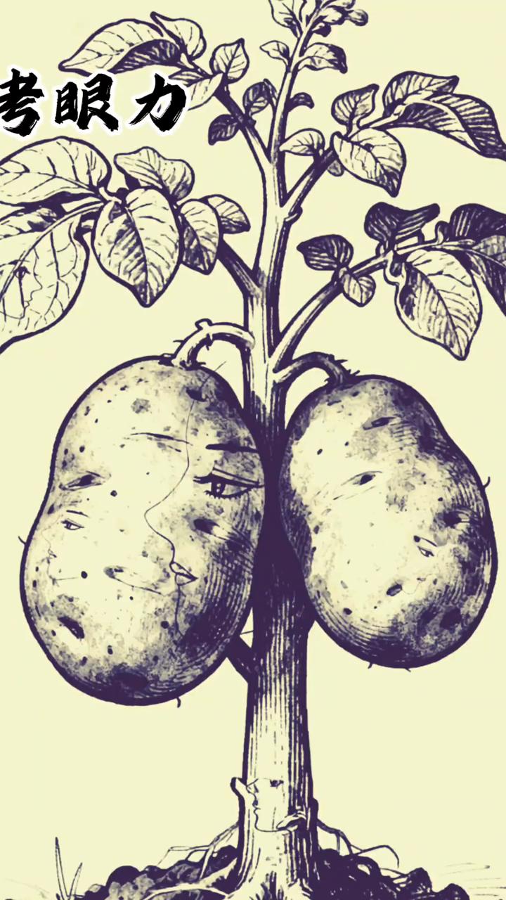 看图找人脸。
请仔细看这张图，有人脸吗？人脸就隐藏其中，一般人找不到第二张人脸。