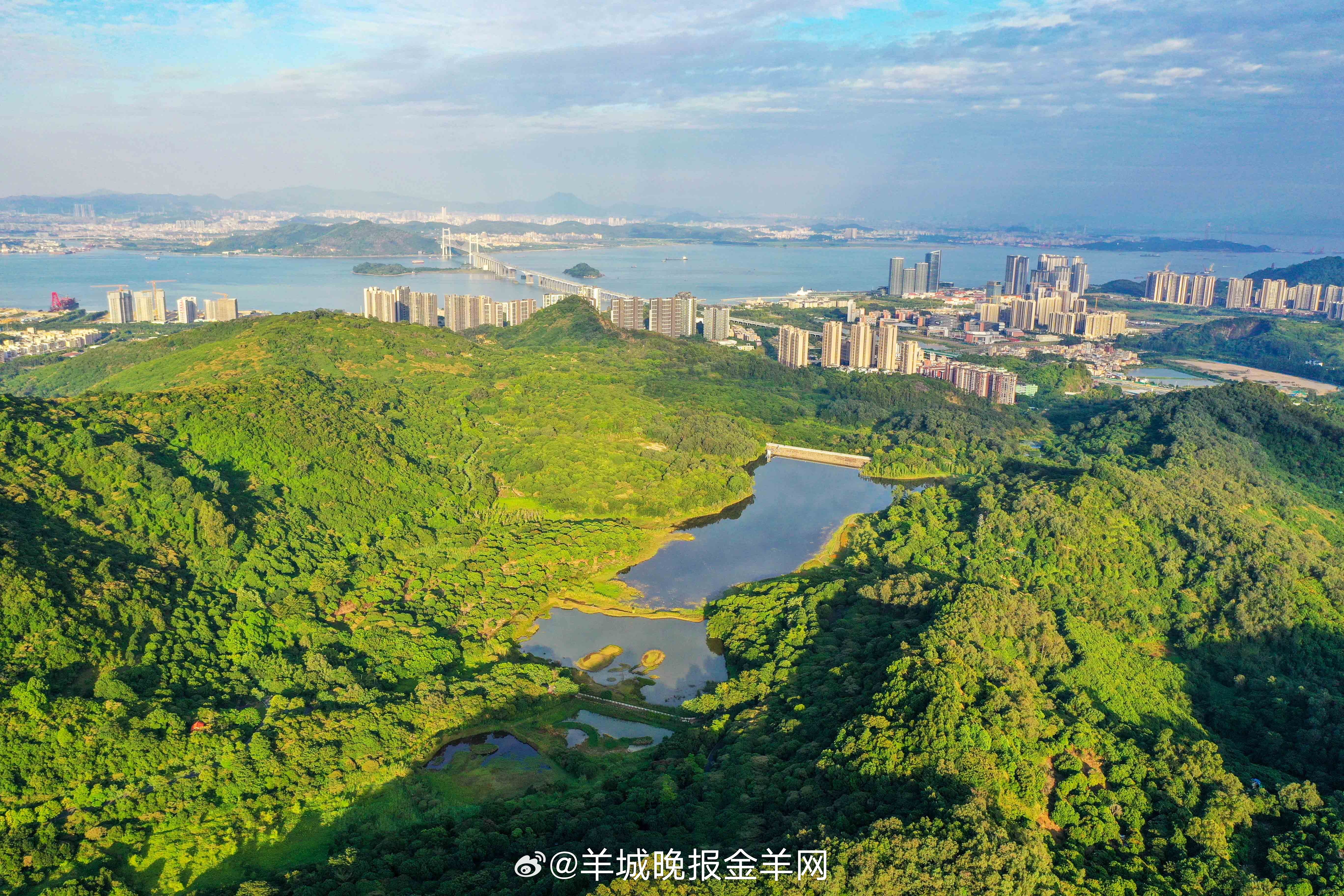 #早安#生活的真谛，不仅在于简单地生存，更在于勇敢地生活，去深切感受并品尝生活的