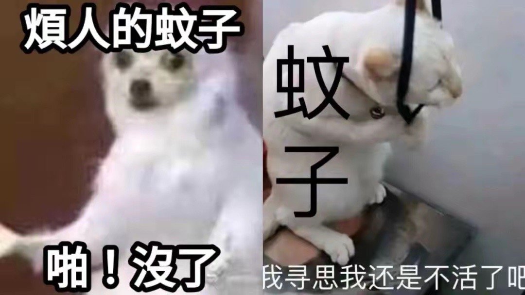 #蚊子会深夜emo吗#面对空气中嗡嗡飞舞的烦人苍蝇、蚊子、小黑虫，人类的解决方式