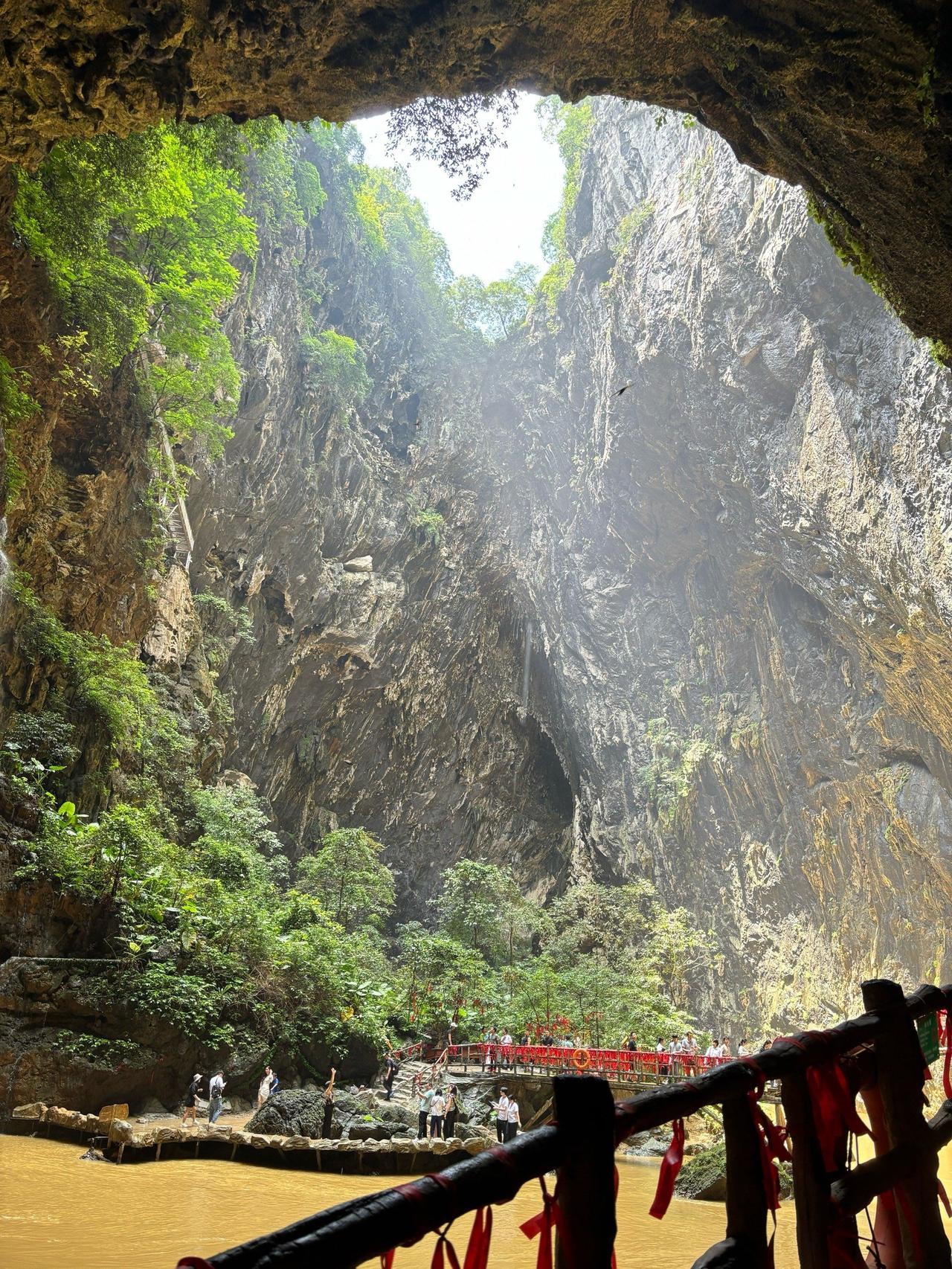 贵州溶洞发现地下反向森林 贵州溶洞发现地下反向森林，这事儿太神奇了！想象一下，在