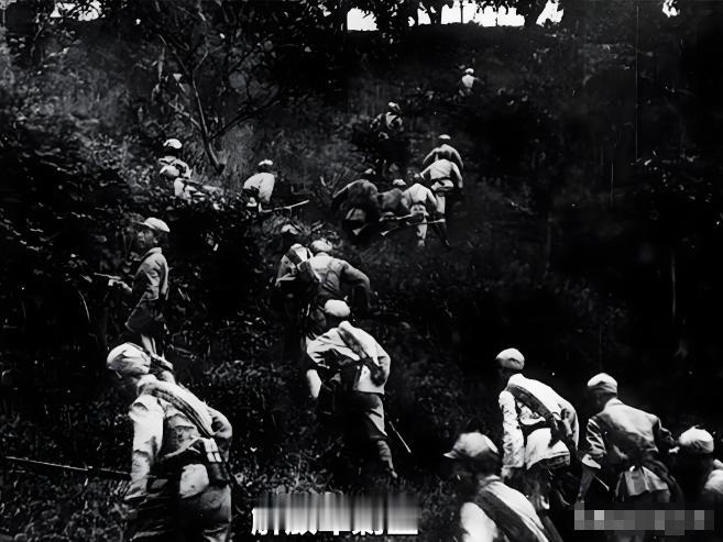 1964年底，湘西地区竟还有土匪做出持枪杀人的举动。毛主席在看完报告后，重重地放