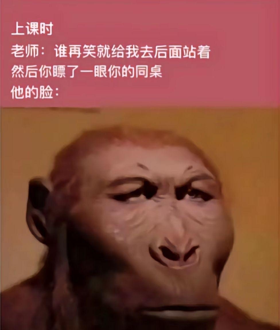 看过，但是还会再看一遍的梗图… ​​​