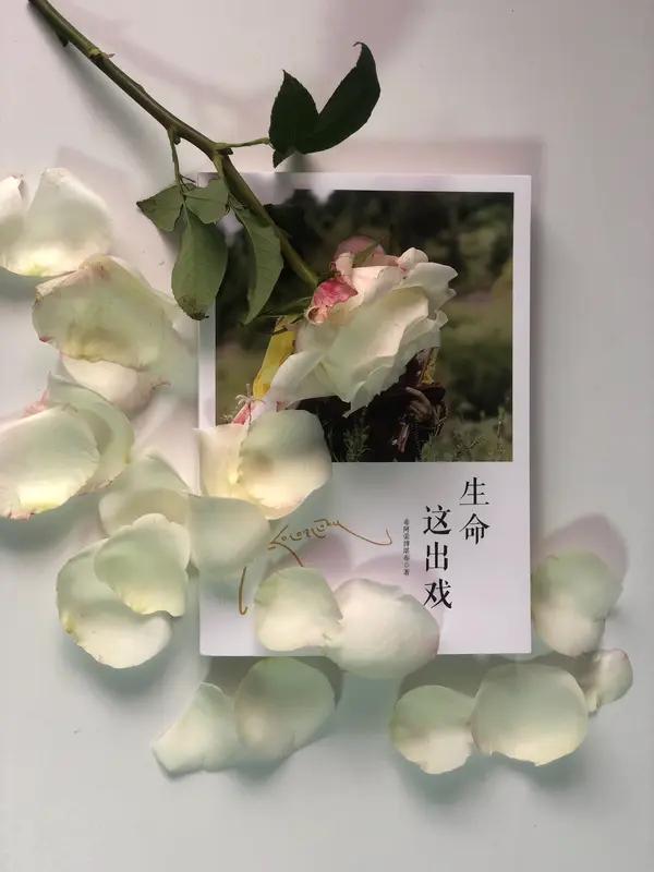 人最为苦难是不是生离死别。
这是一个极其深刻的问题。若论人生之苦，“生离死别”无