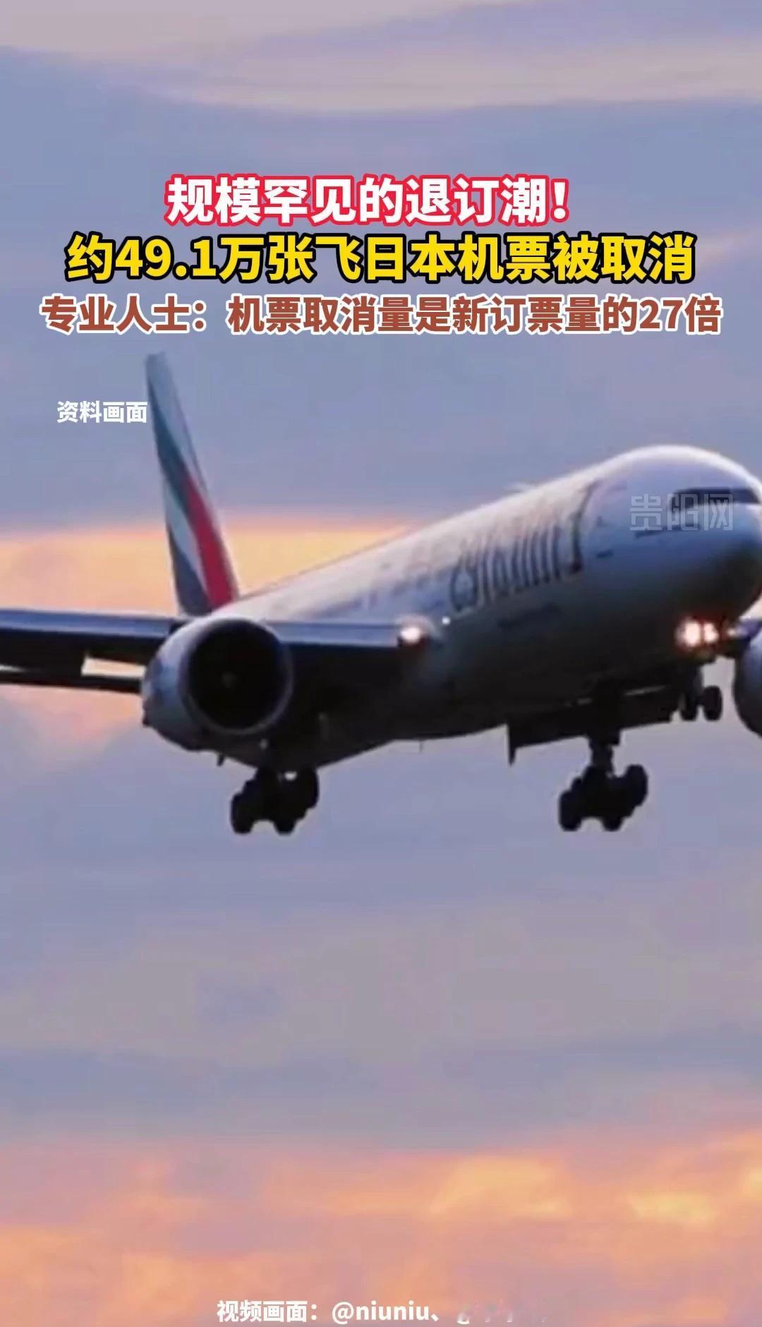 规模罕见的退订潮！约49.1万张飞日本机票被取消