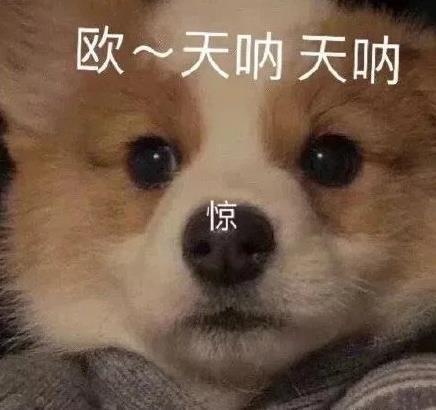 #每日一善#11🈷️10日带v评可直关，当天不吞必hui 掉铁的好友评论下 必