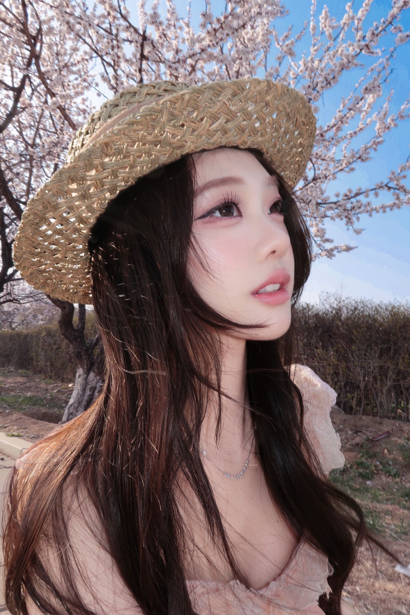 🤍ྀི₊⁺ 𝚜𝚊𝚔𝚞𝚛𝚊⁺氛围感 樱花春天 韩系樱花 