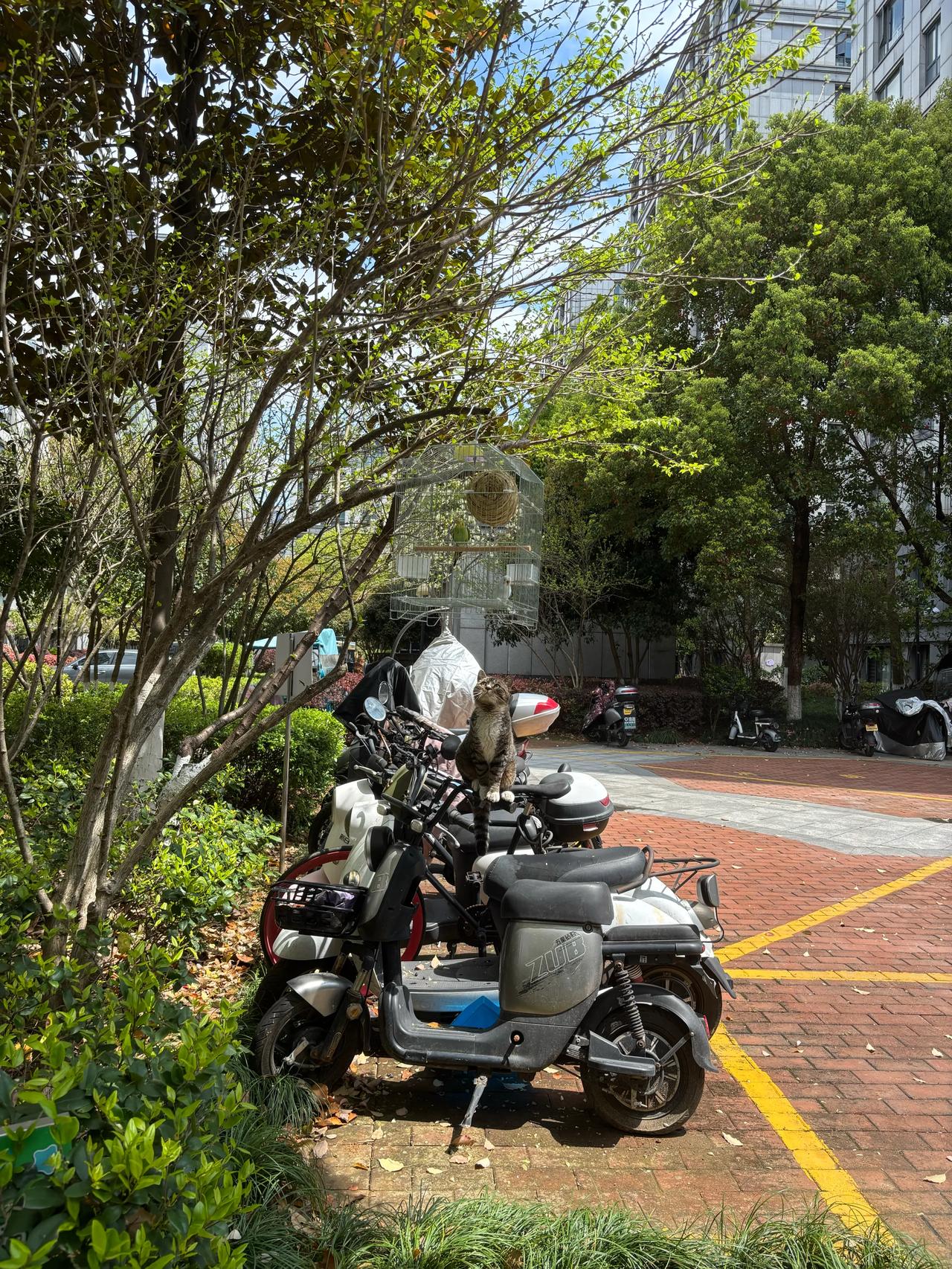 那个欺负我的同学他爸爸思乐，而且死的很惨很惨，都不成人样了。
读小学的时候，我们