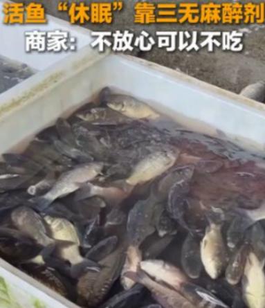 太恶心了，央媒曝光活鱼内幕！  3月23日，据央媒报道，中国多地水产市场为方便运