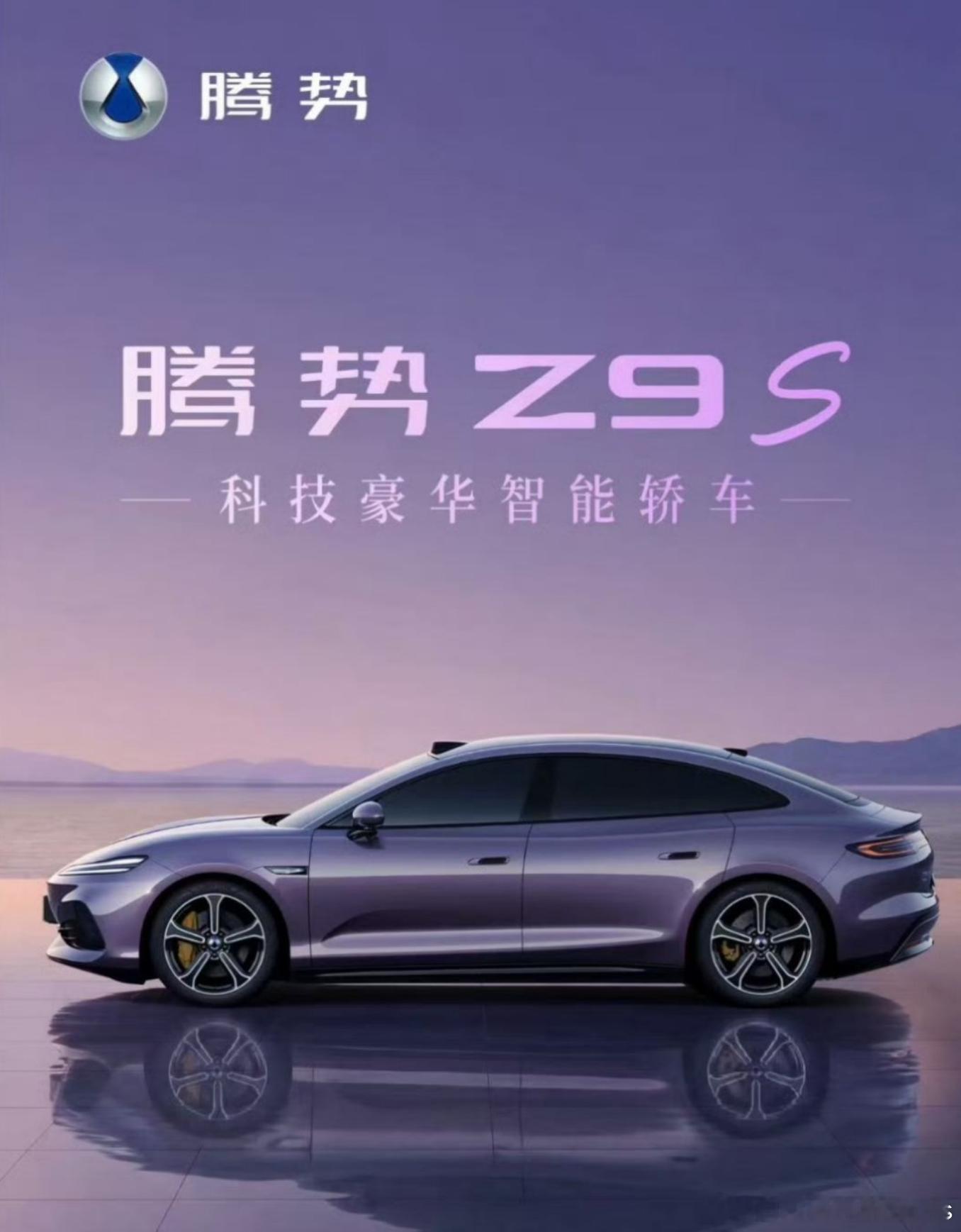 四大轿车第二台-Z9S，和海豹08还是做出来了一些运动化差异的。后面还有大汉和方