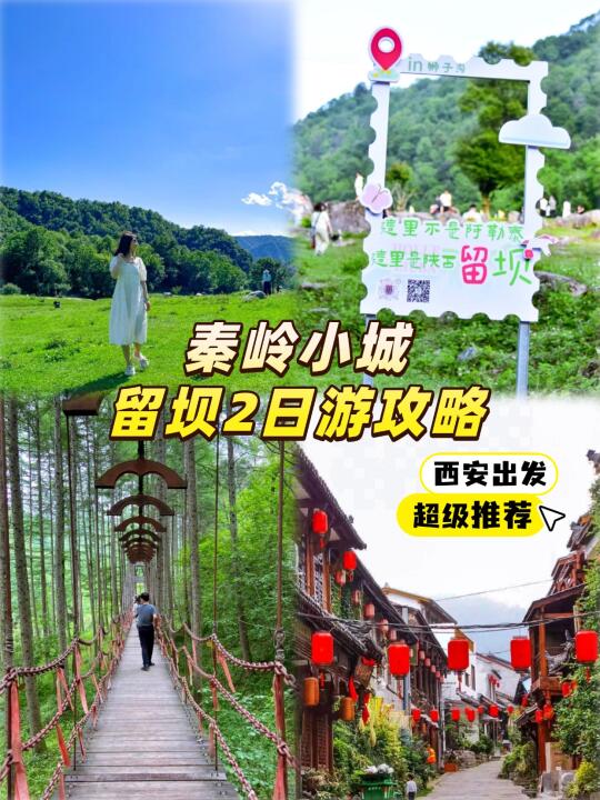 端午出发“秦岭小瑞士”草甸牧场22℃清凉！