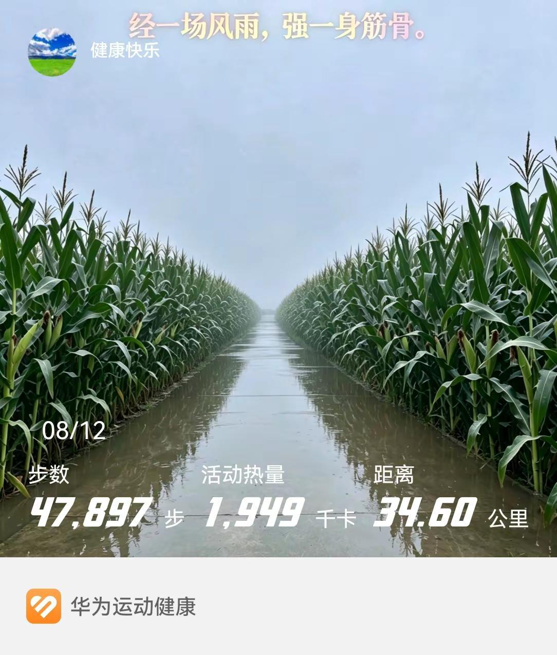 多少次挥汗如雨&音乐人易圣华（今日大雨）